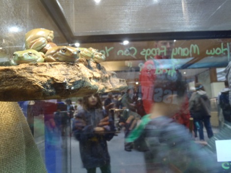 frog view